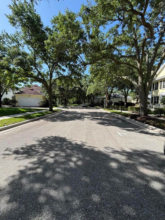 streetview