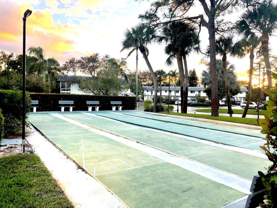 shuffleboard recreaction area
