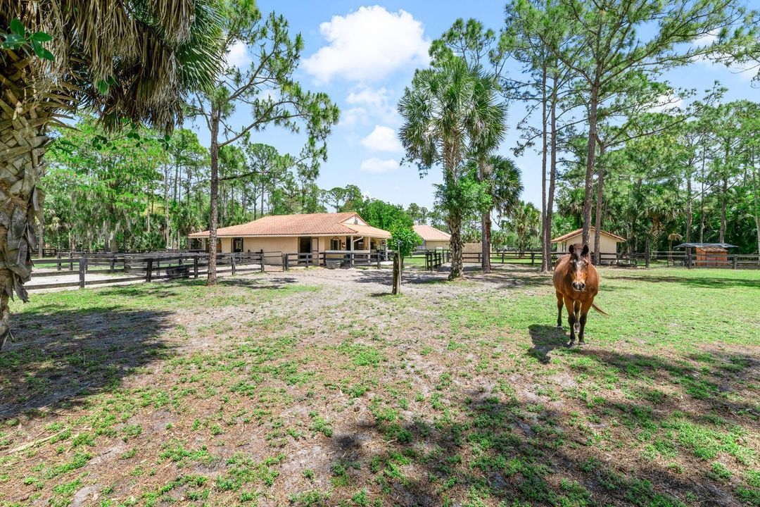 2559 Palm Deer Dr Locahatchee-large-122-