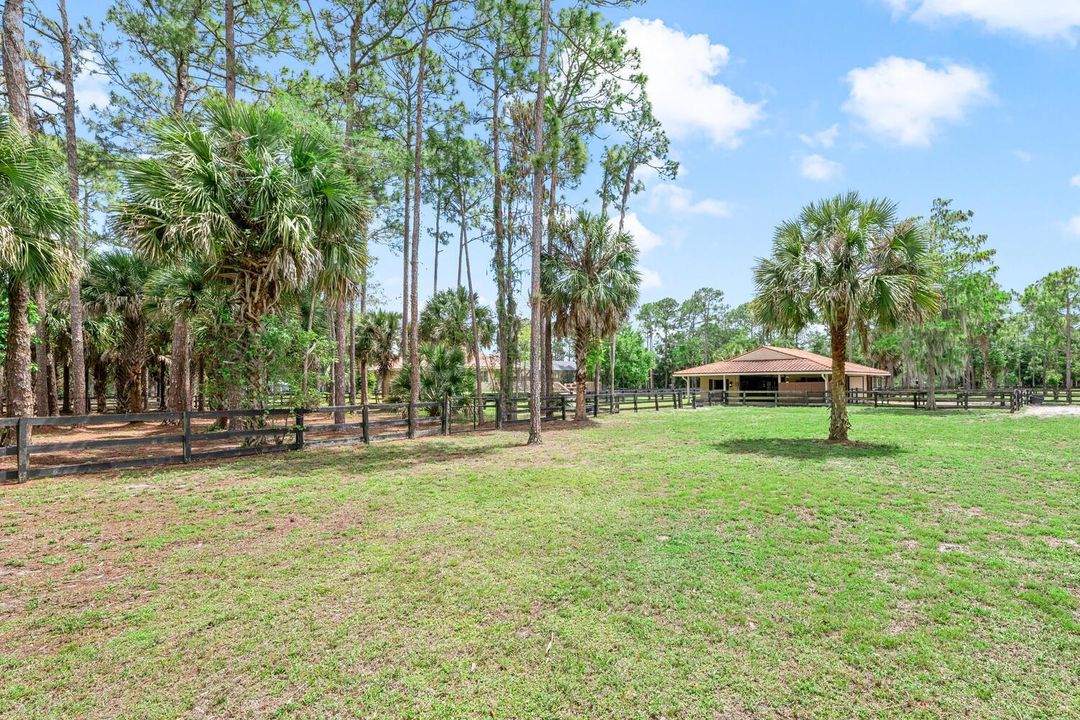 2559 Palm Deer Dr Locahatchee-large-131-