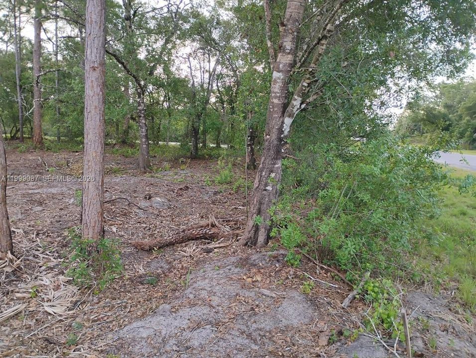 For Sale: $130,000 (1.25 acres)