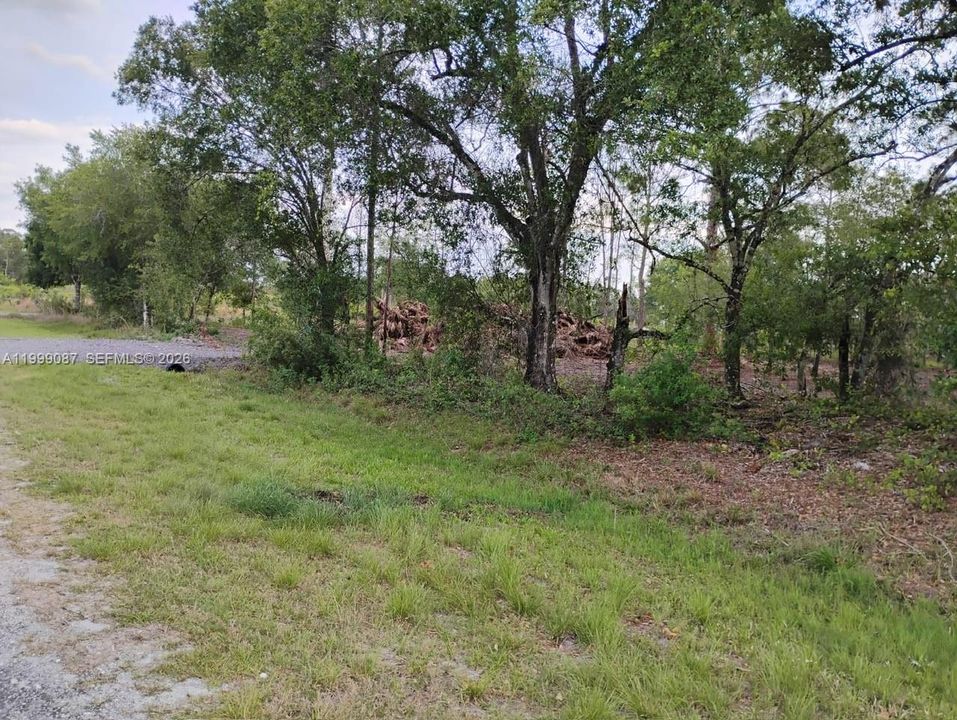 For Sale: $130,000 (1.25 acres)