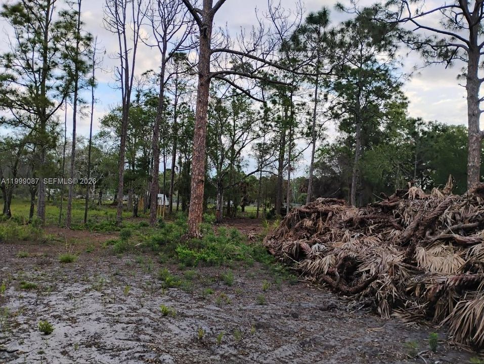 For Sale: $130,000 (1.25 acres)