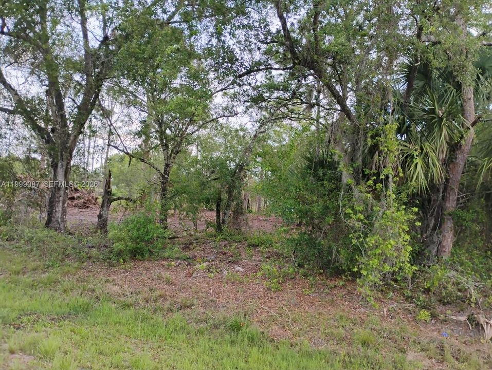 For Sale: $130,000 (1.25 acres)