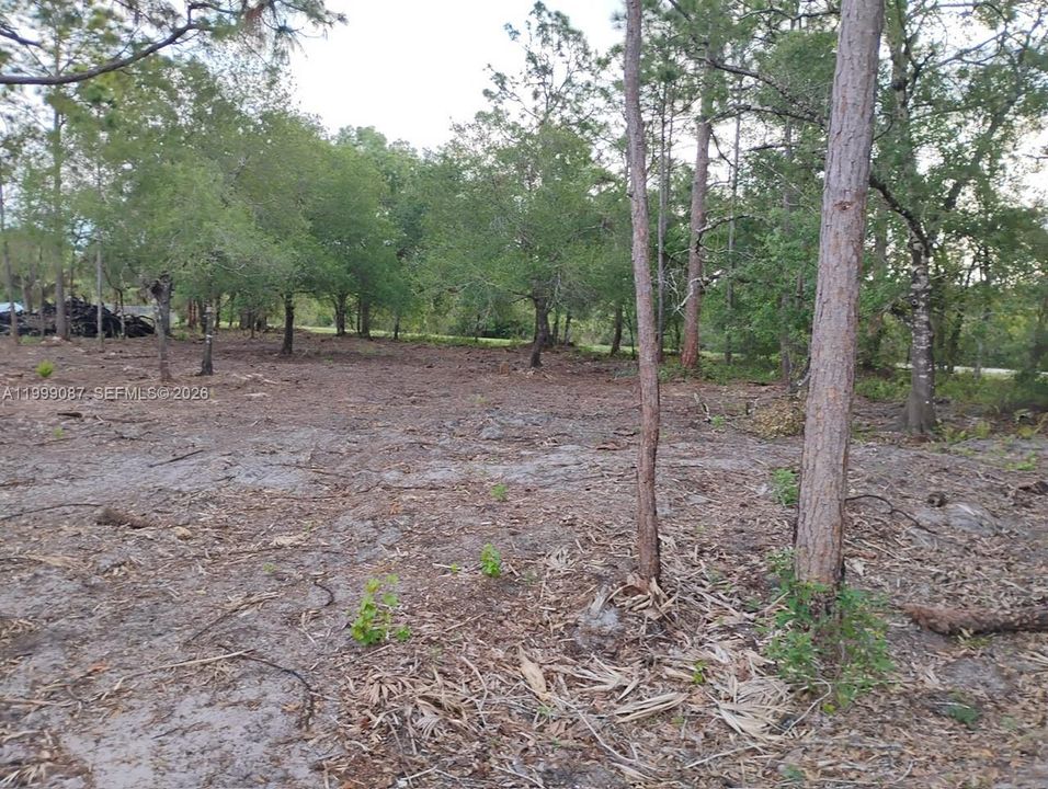 For Sale: $130,000 (1.25 acres)