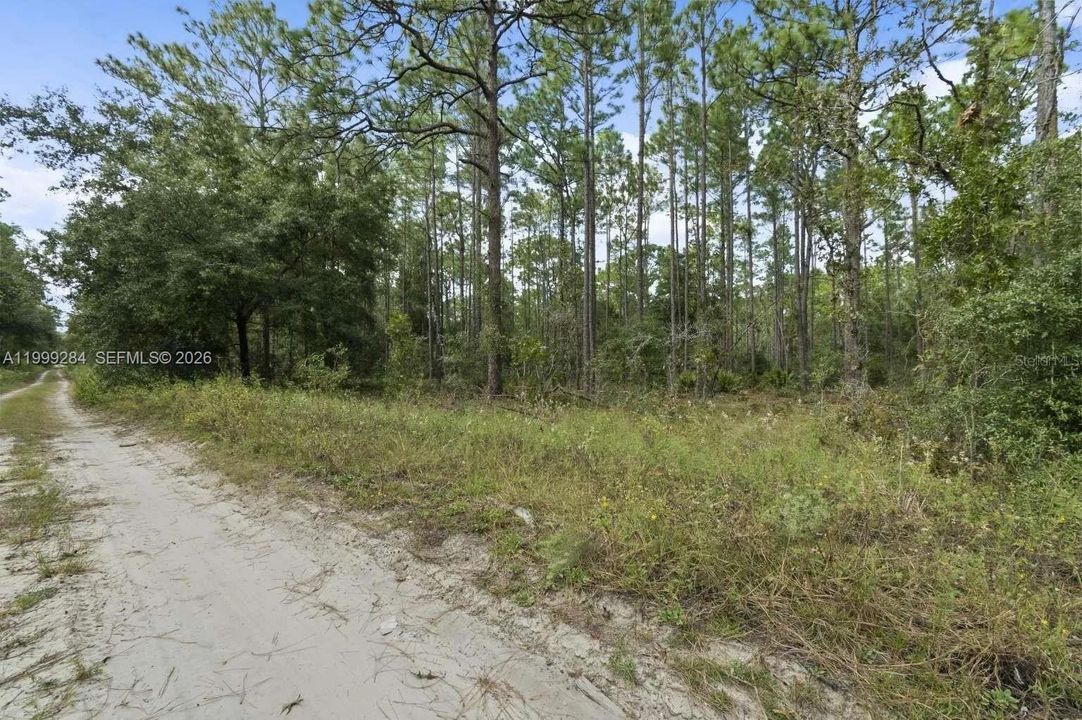 For Sale: $20,000 (0.23 acres)