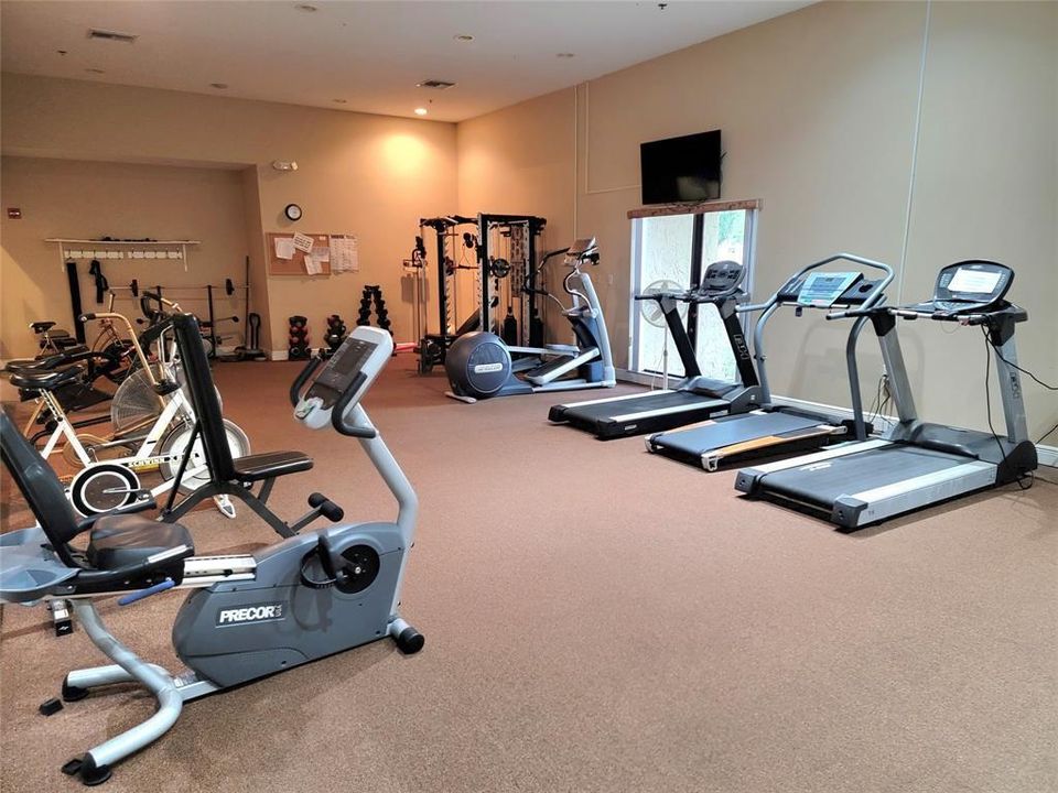 oak gym 2