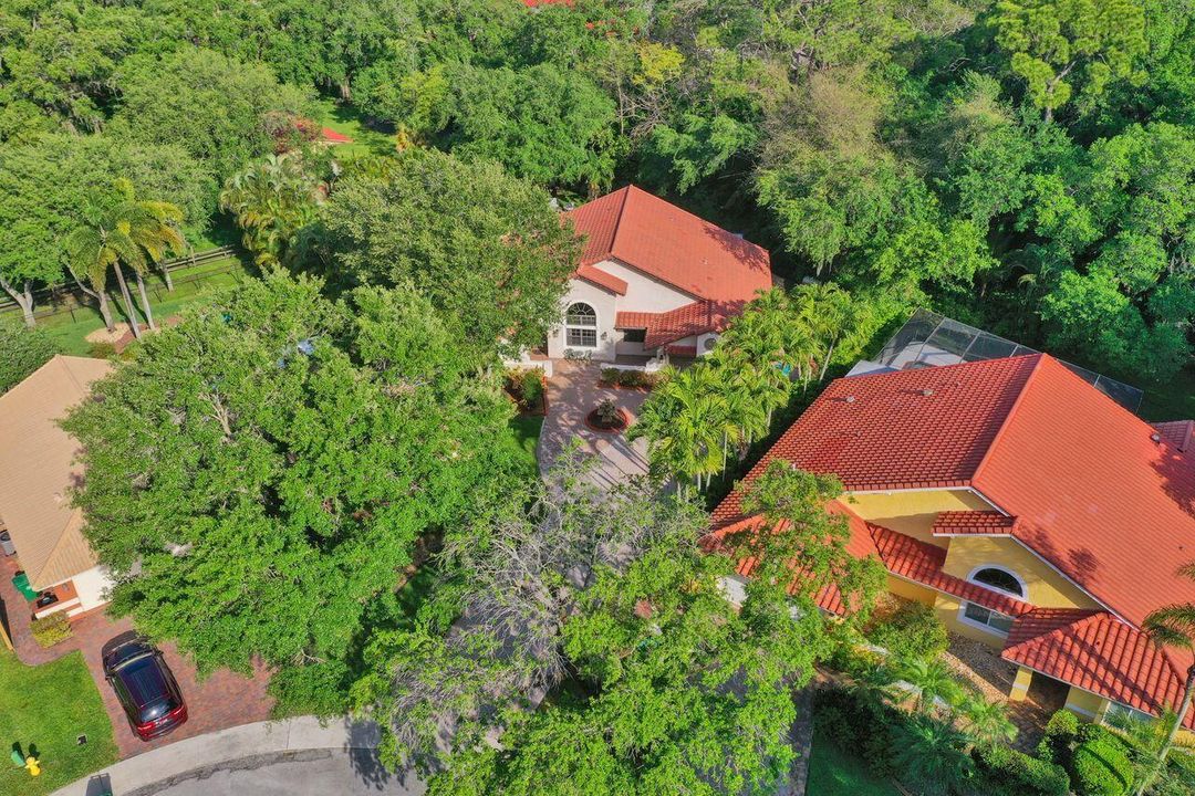 DJI_0613