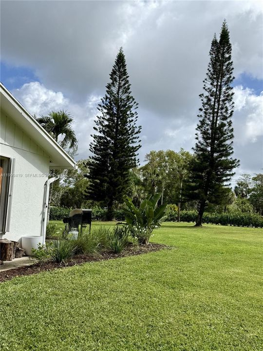 For Rent: $4,500 (3 beds, 2 baths, 1914 Square Feet)