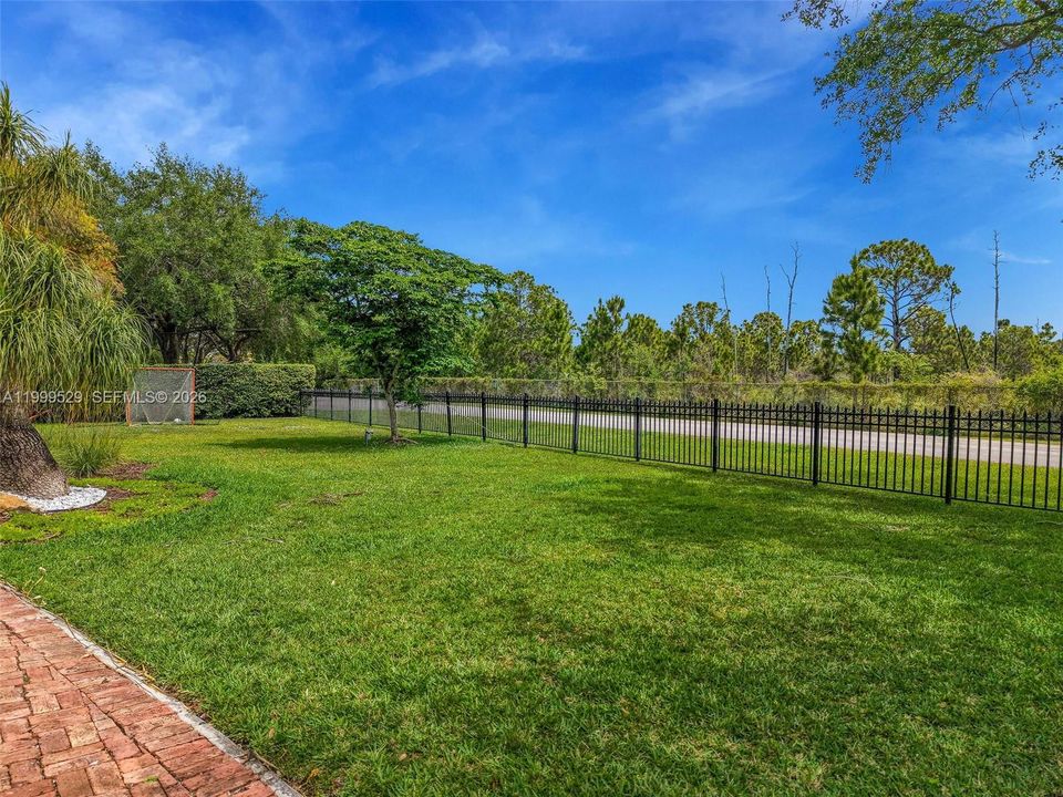 Front Yard