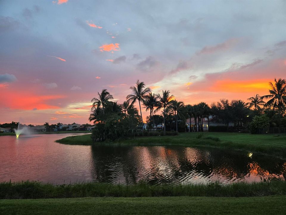 Sunset from backyard