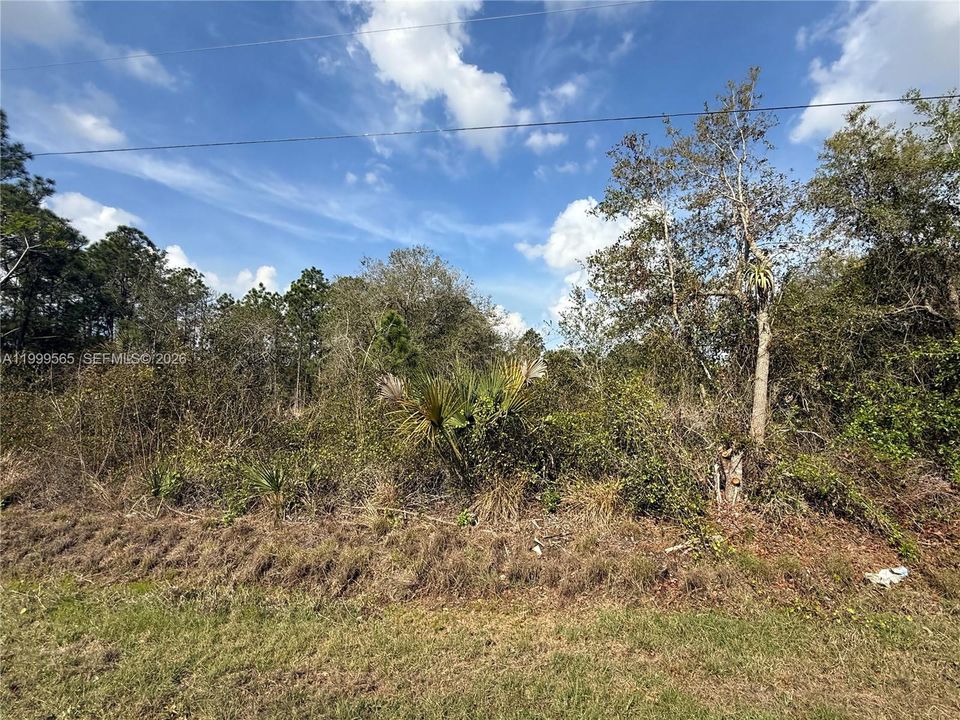 Recently Sold: $49,900 (1.25 acres)