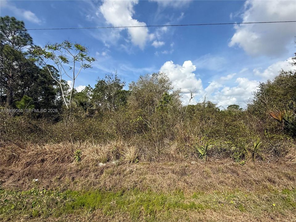 Recently Sold: $49,900 (1.25 acres)