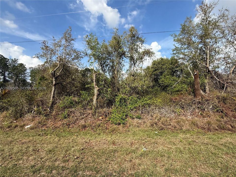 Recently Sold: $49,900 (1.25 acres)