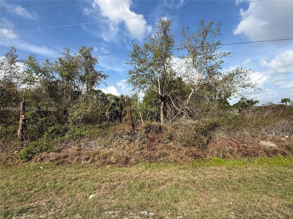 Recently Sold: $49,900 (1.25 acres)