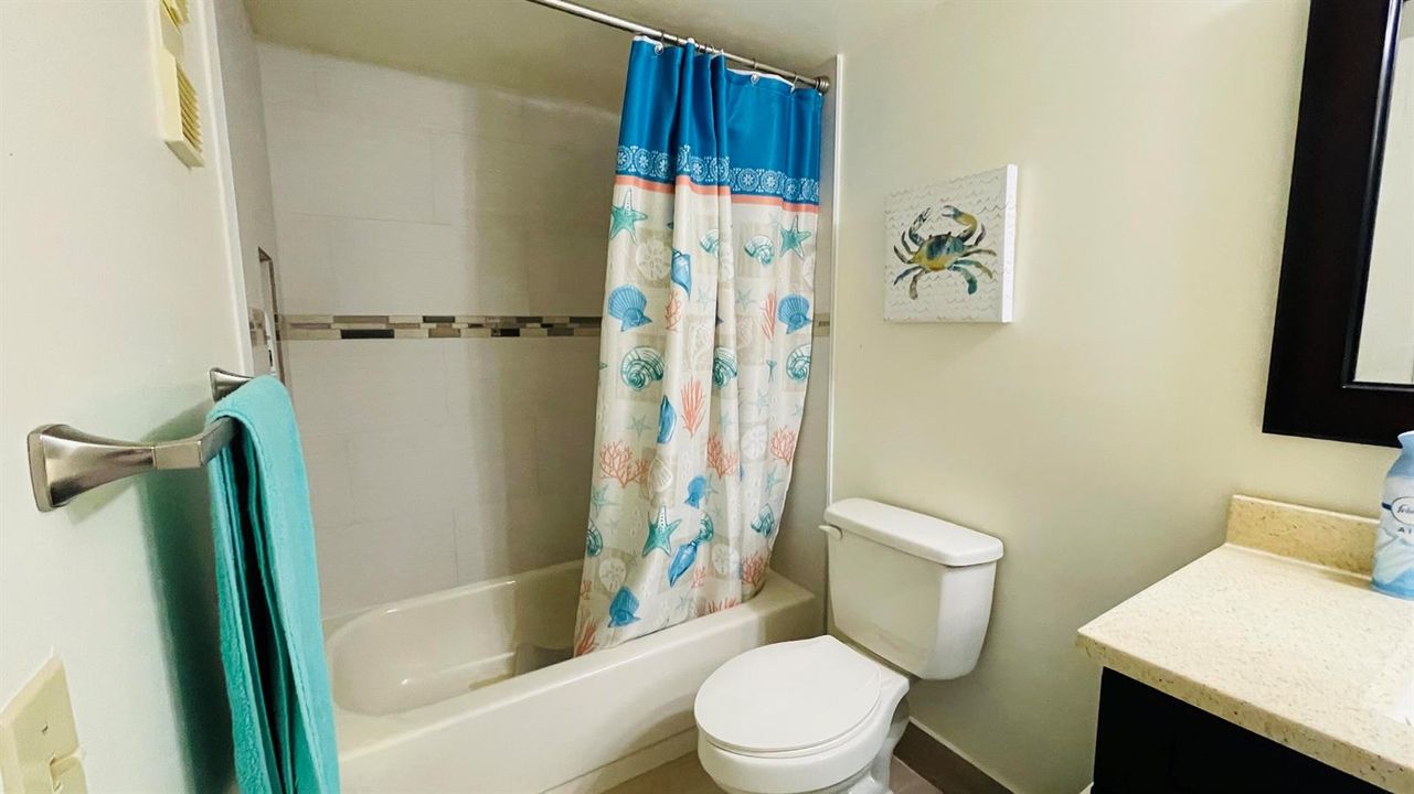 Guest Bath
