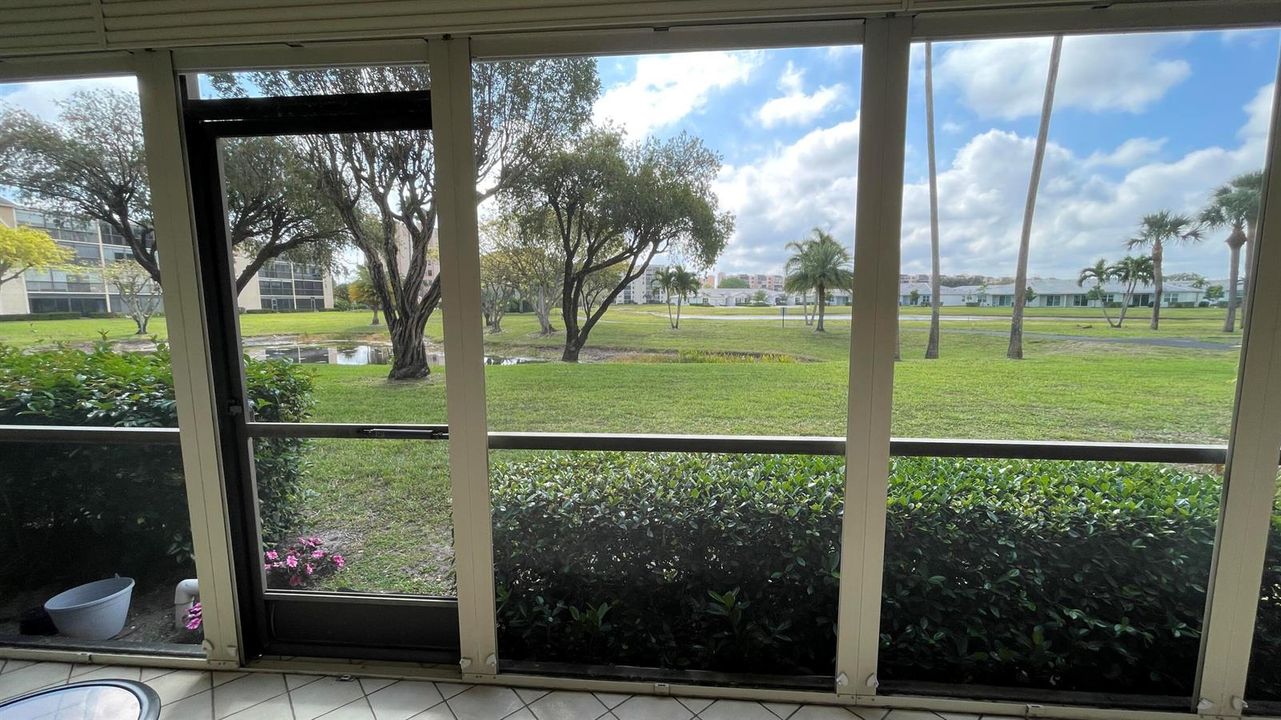 view