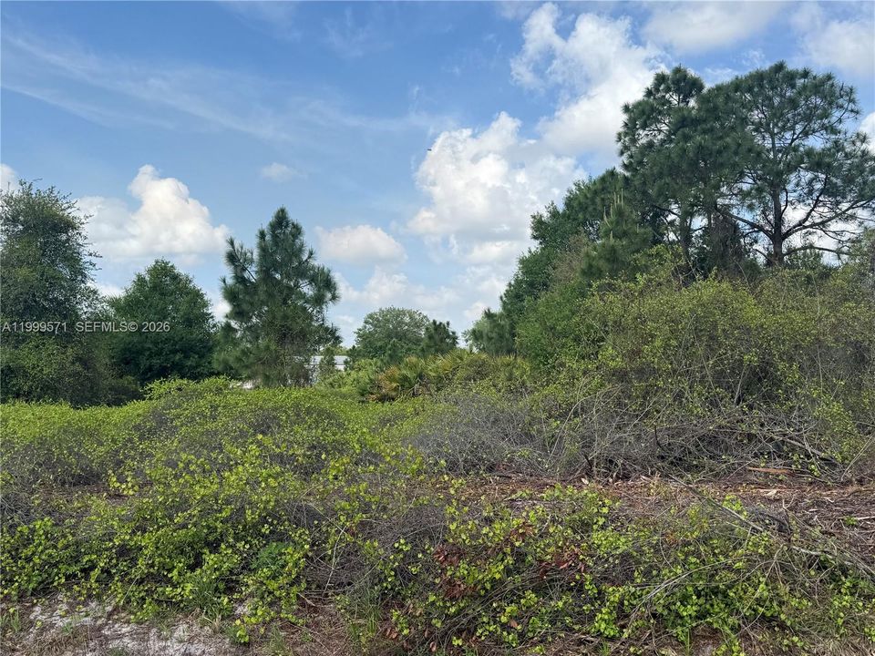 En Venta: $49,900 (1.25 acres)