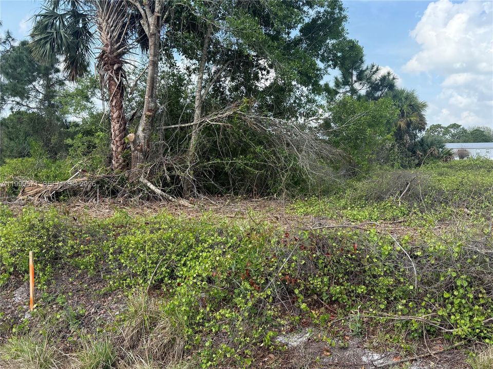 En Venta: $49,900 (1.25 acres)