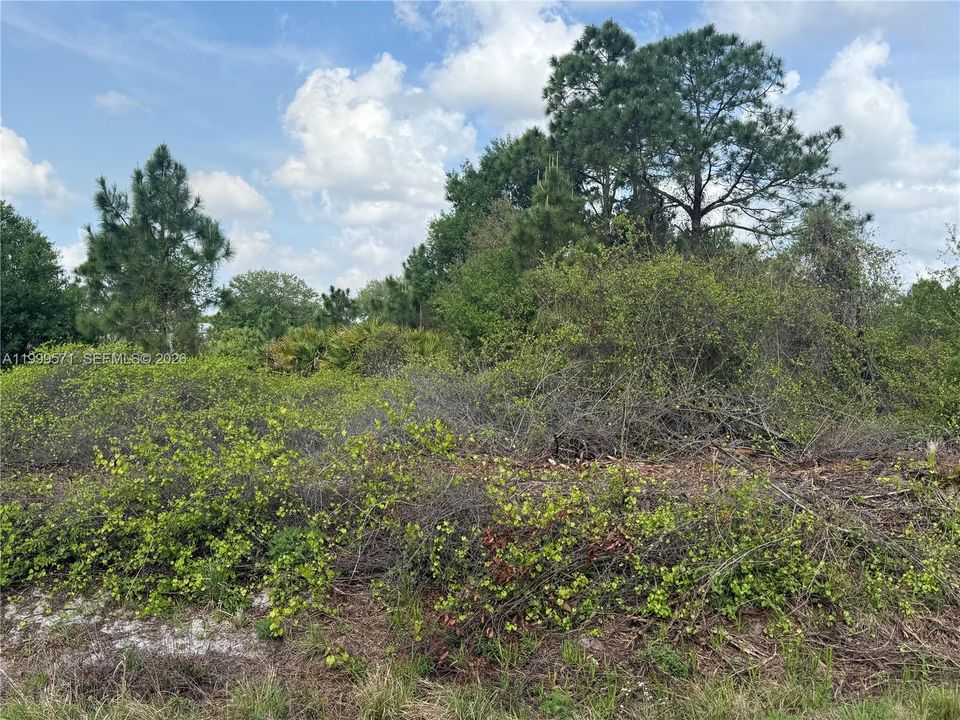 En Venta: $49,900 (1.25 acres)