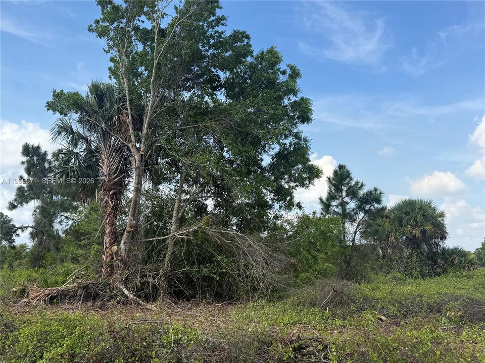 En Venta: $49,900 (1.25 acres)