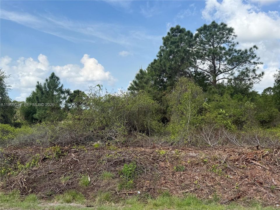 En Venta: $49,900 (1.25 acres)
