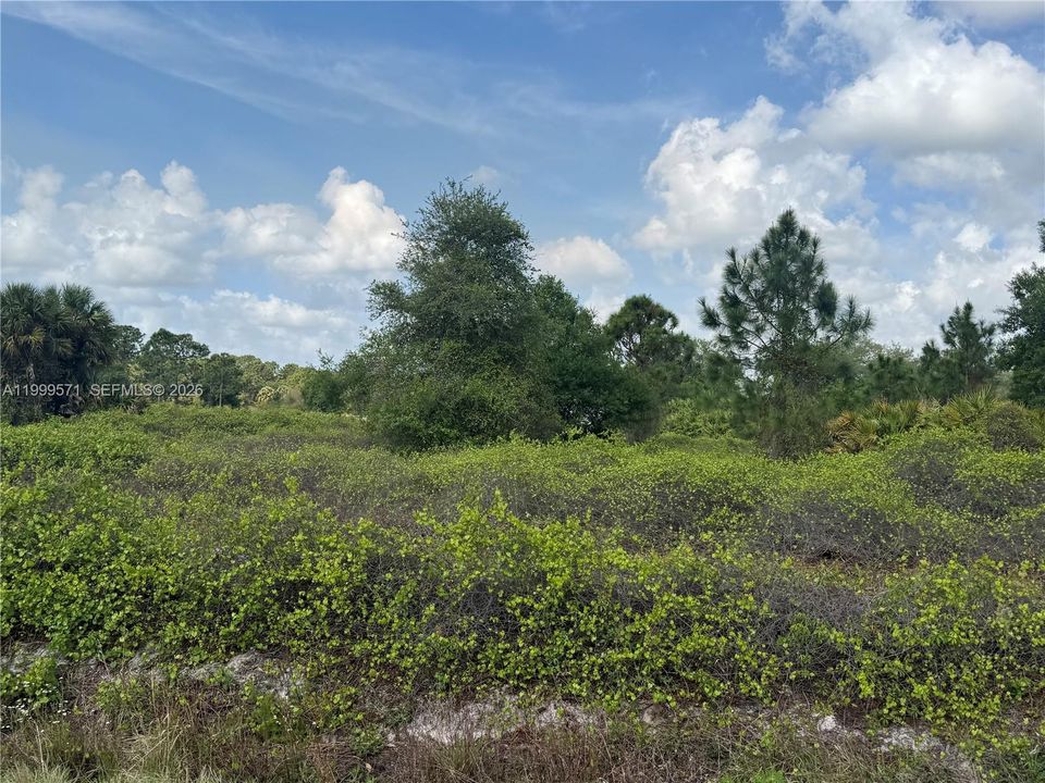 En Venta: $49,900 (1.25 acres)
