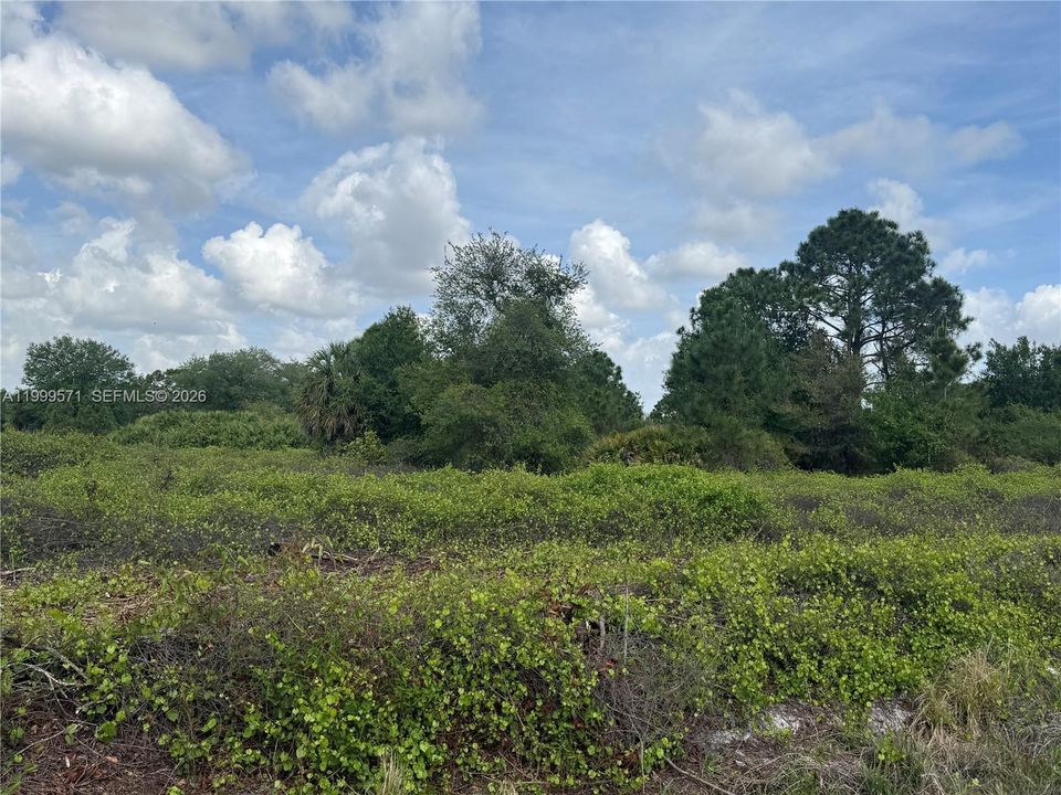 En Venta: $49,900 (1.25 acres)