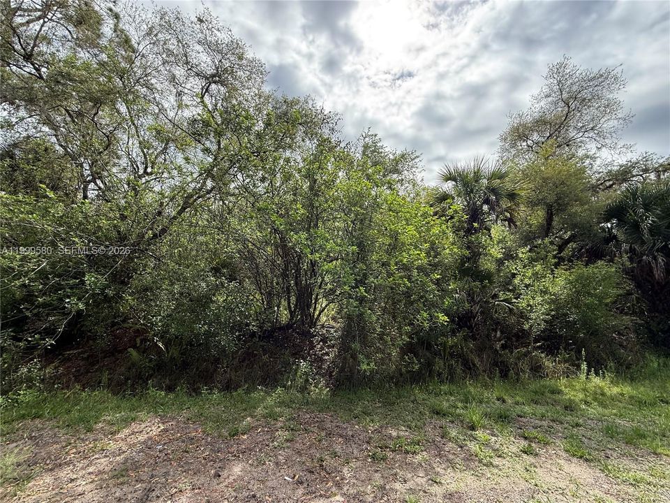 En Venta: $44,999 (1.25 acres)
