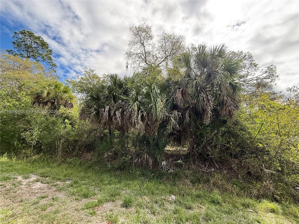 En Venta: $44,999 (1.25 acres)
