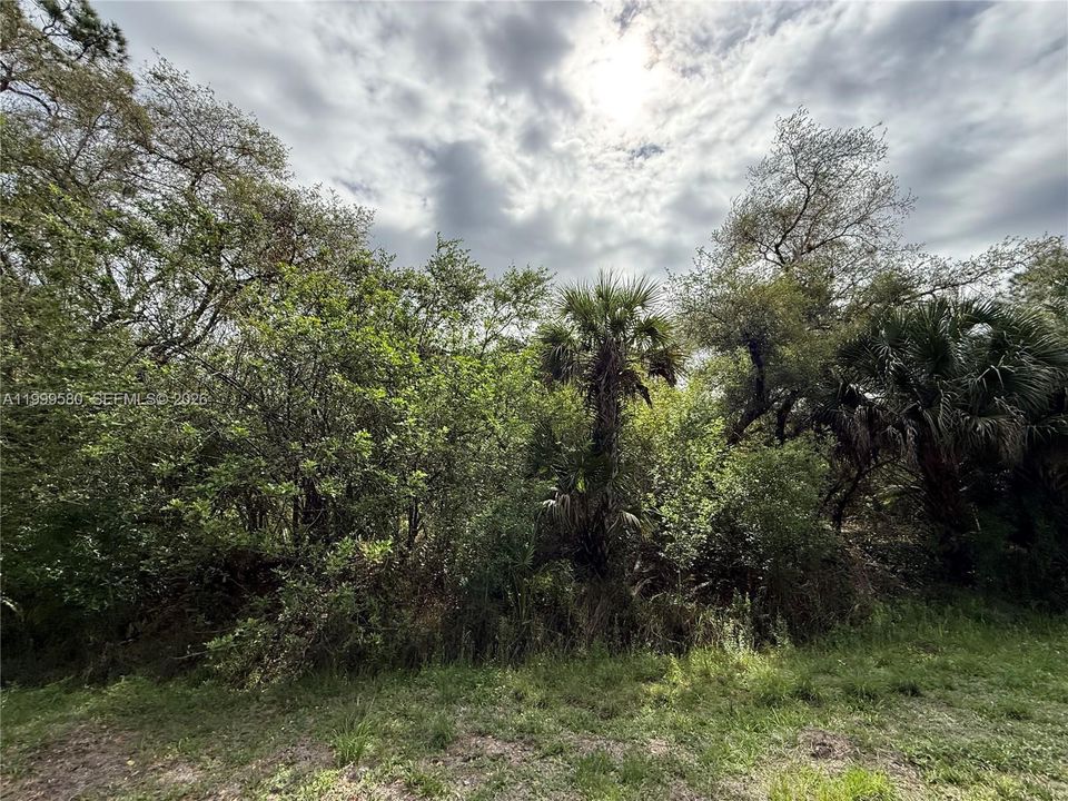 En Venta: $44,999 (1.25 acres)