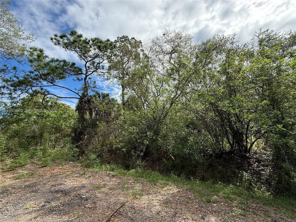 En Venta: $44,999 (1.25 acres)