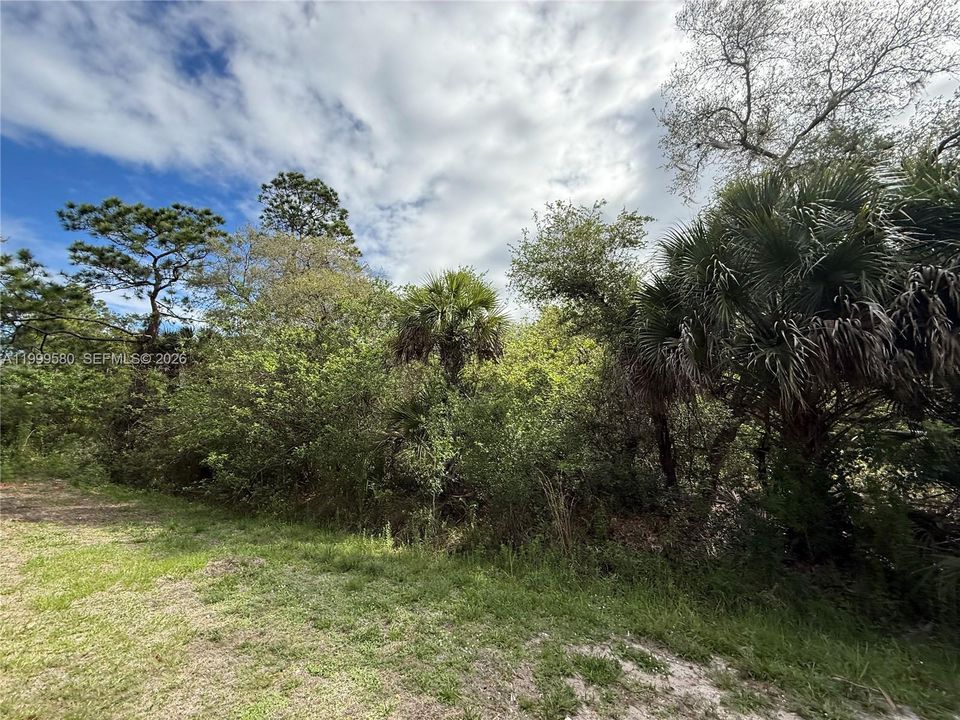 En Venta: $44,999 (1.25 acres)
