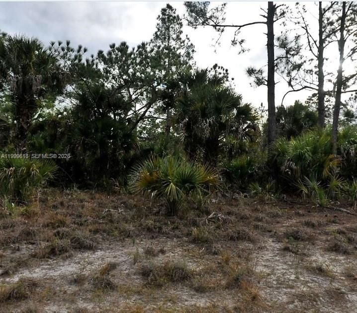 Недавно продано: $22,000 (929.00 acres)
