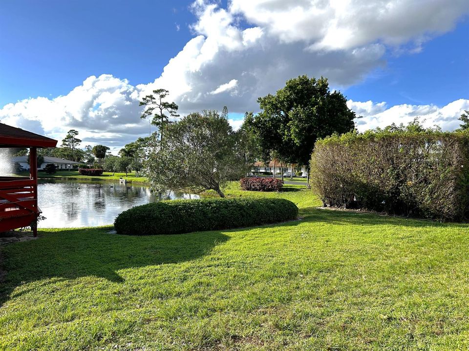 BRIDGEVIEW GROUNDS - Copy