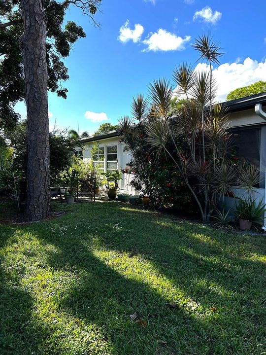 5200 PRIVET PL OUTDOOR BACKYARD