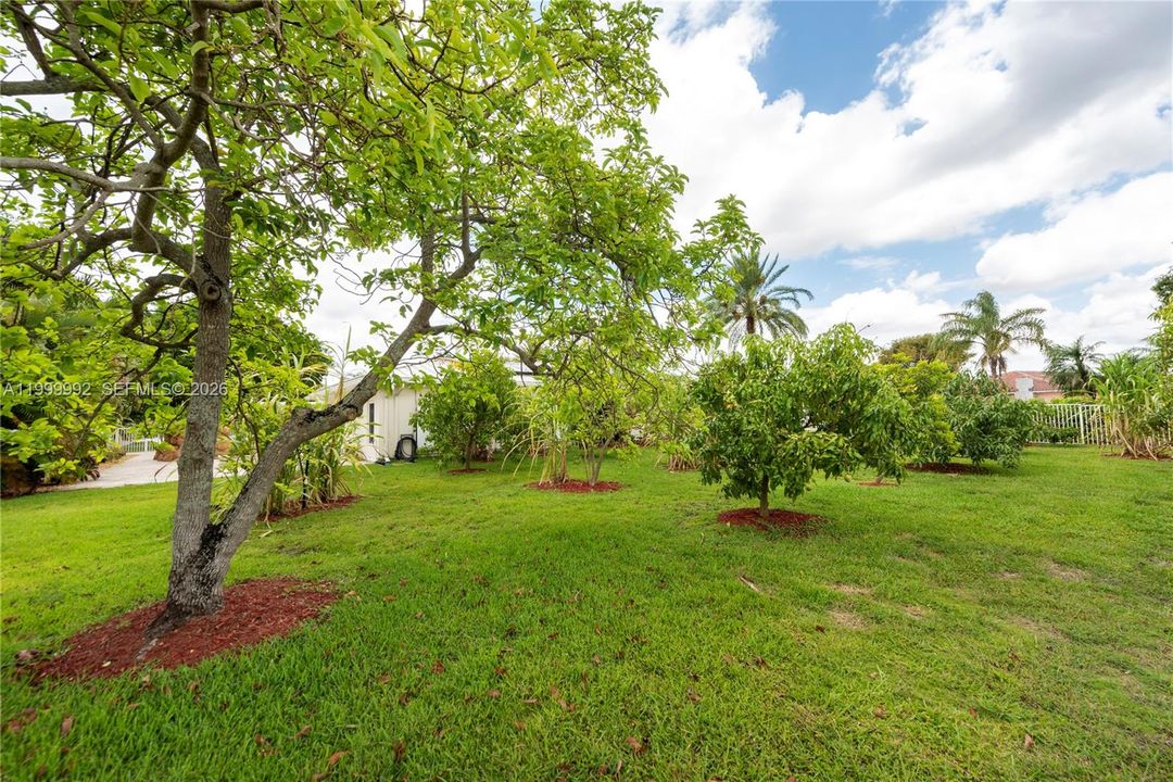 Active With Contract: $1,399,000 (4 beds, 3 baths, 3397 Square Feet)