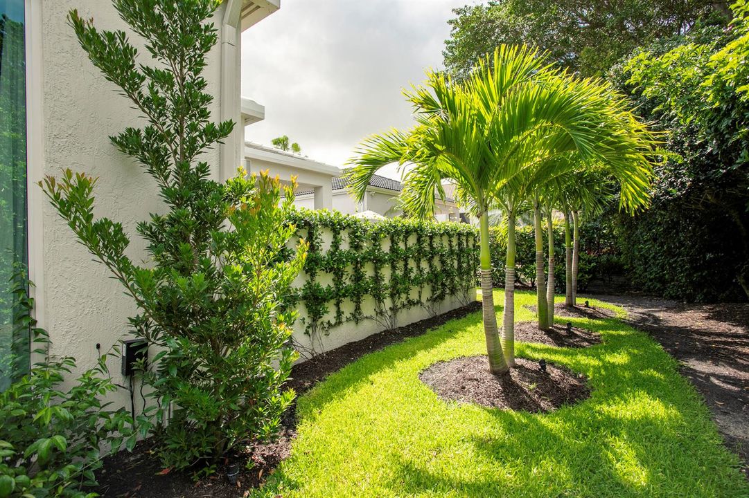 LUSH LANDSCAPE ALL AROUND