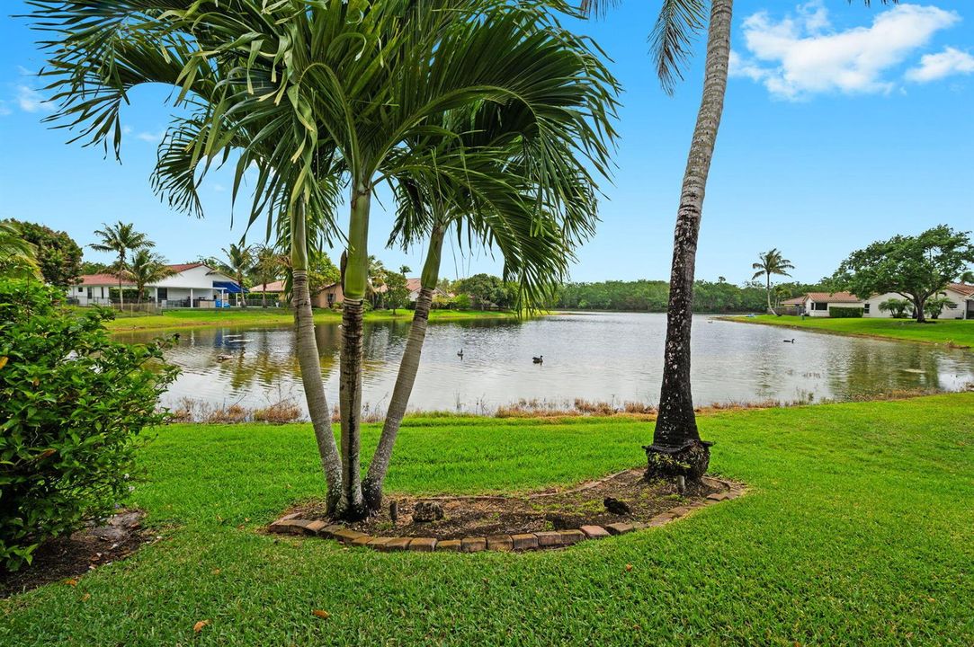 41-web-or-mls-2664-nelson-ct