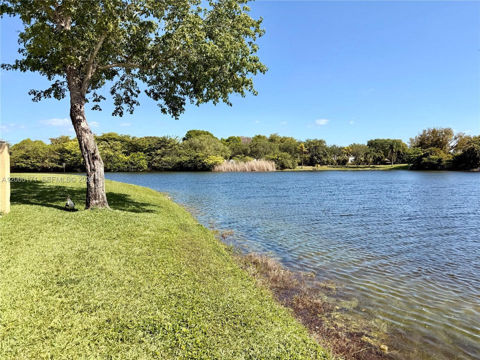 For Rent: $3,300 (3 beds, 3 baths, 1802 Square Feet)