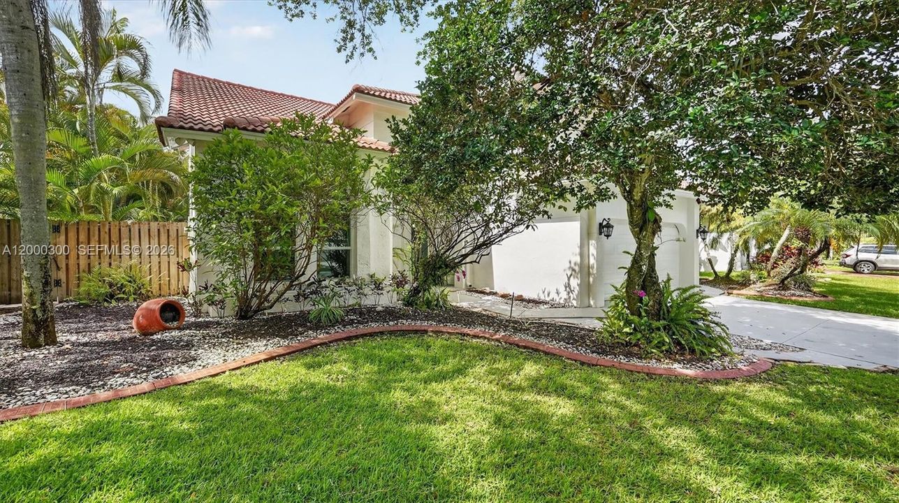 Front yard