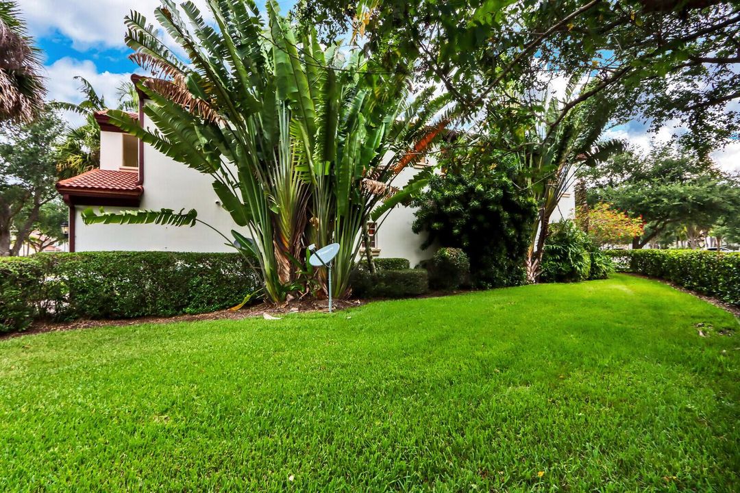 Side yard