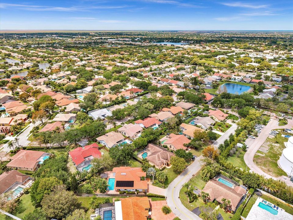 Dream Neighborhood