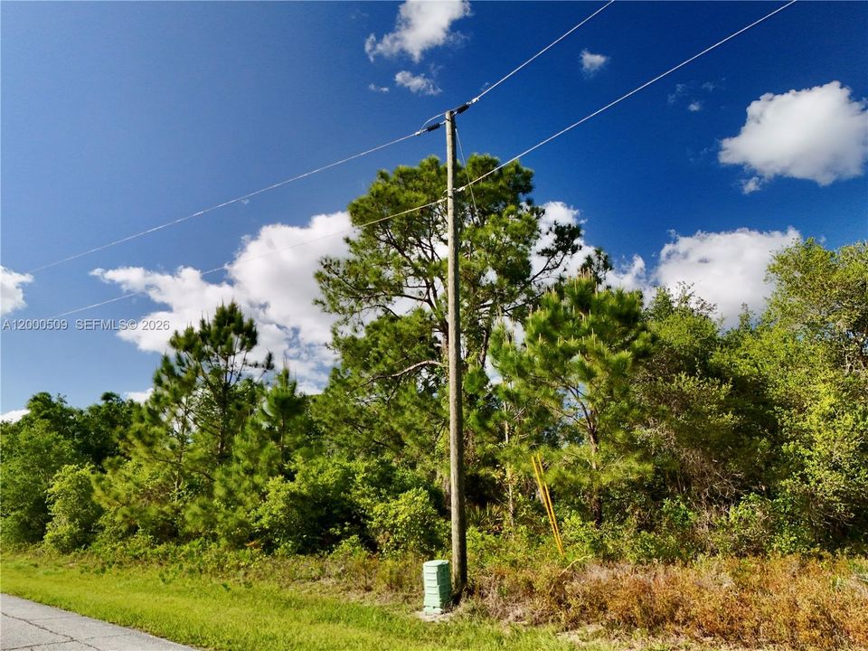 En Venta: $55,000 (0.25 acres)