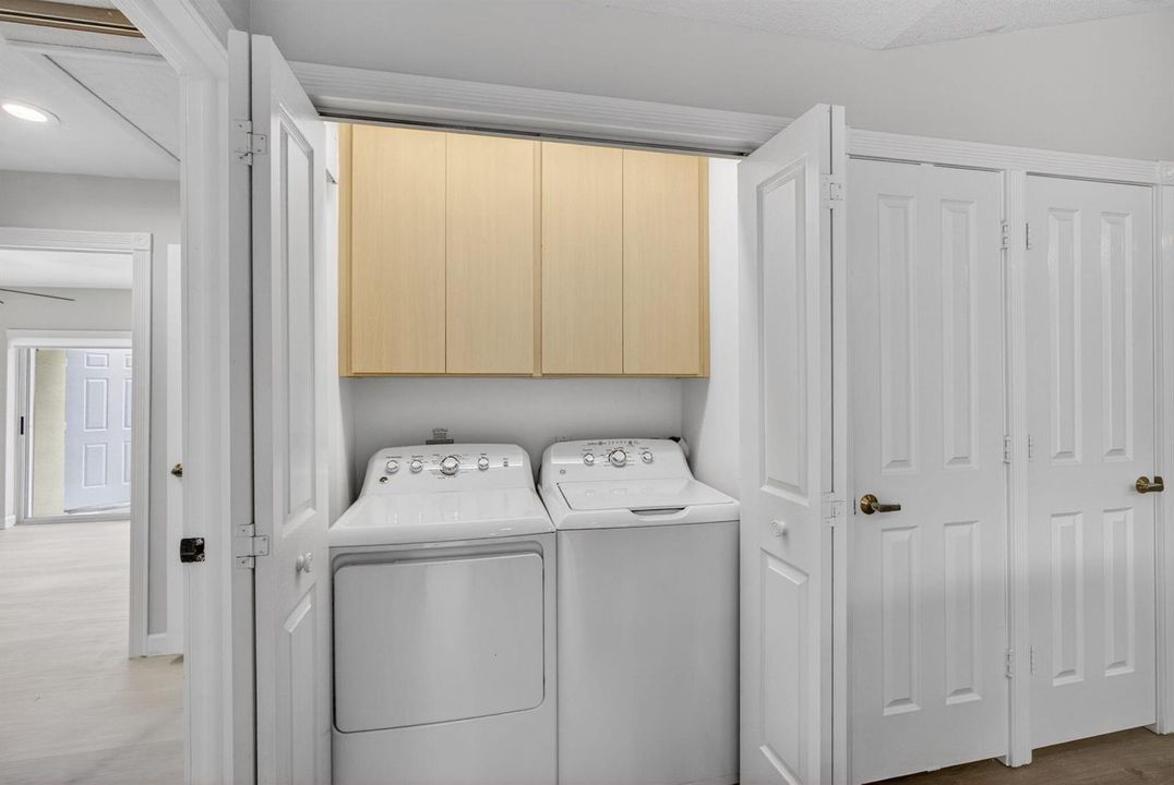 17-web-or-mls-5D1A2461