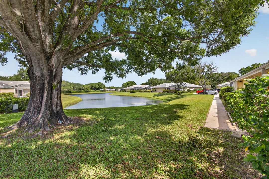 5-web-or-mls-5D1A2398