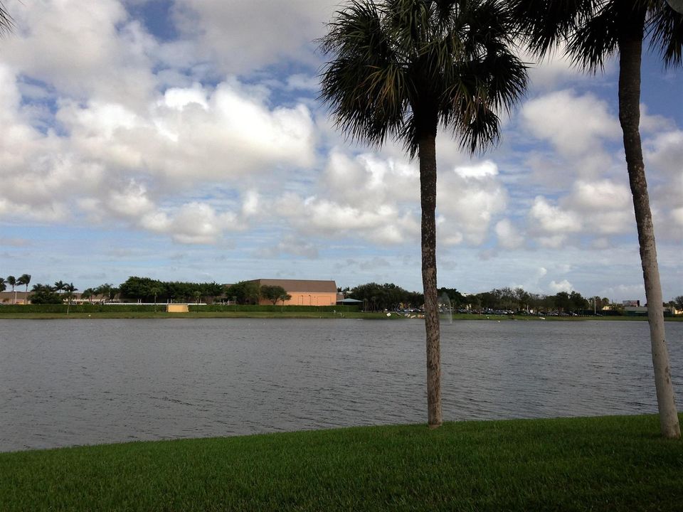 surrounding water