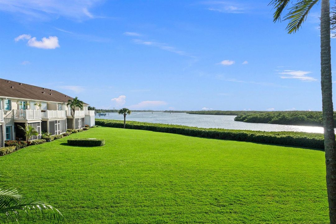View from Sun Room