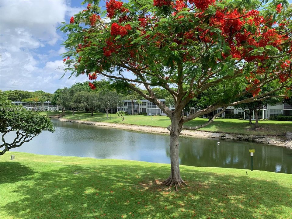 For Sale: $317,000 (3 beds, 3 baths, 1620 Square Feet)
