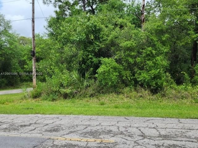 На продажу: $56,000 (1.25 acres)